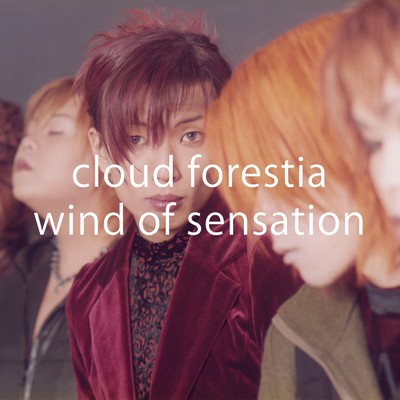 シングル/wind of sensation/cloud forestia