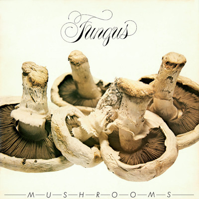 シングル/Title Unknown Medley (Remastered)/Fungus