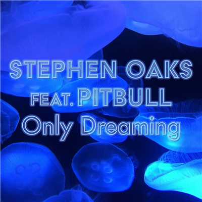 アルバム/Only Dreaming (feat. Pitbull)/Stephen Oaks