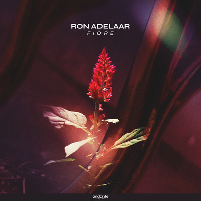 Fiore/Ron Adelaar