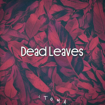 Dead Leaves/iTOMA