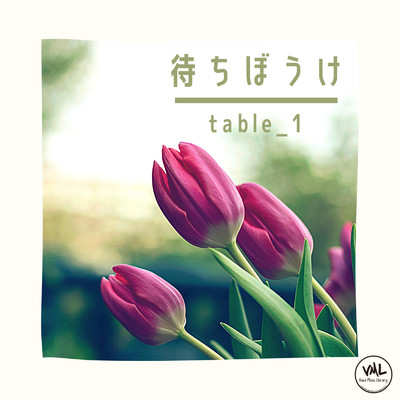 ニワカ雨/table_1