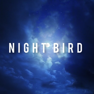 NIGHT BIRD/YuuSeI