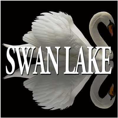 Suite from Swan Lake, Op. 20a: VII. Danse napolitaine/Alexander Lazarev