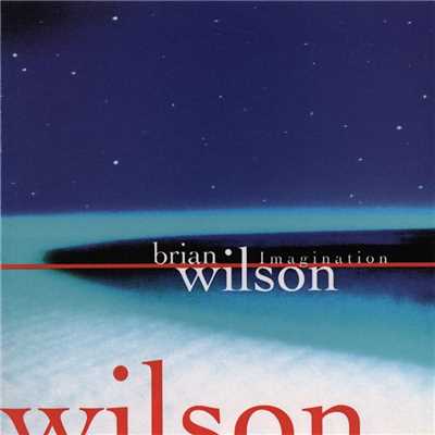 アルバム/Imagination/Brian Wilson