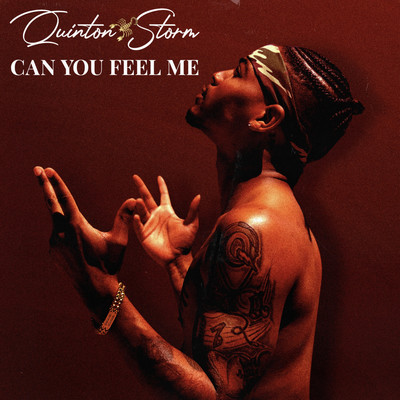 シングル/Can You Feel Me/Quinton Storm