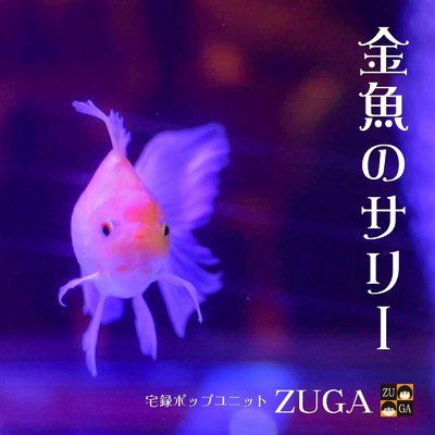 金魚のサリー/ZUGA
