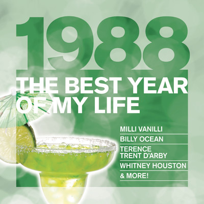 The Best Year Of My Life: 1988/Various Artists