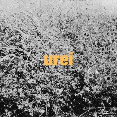 urei/if near mild