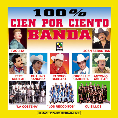 100% Banda/Various Artists