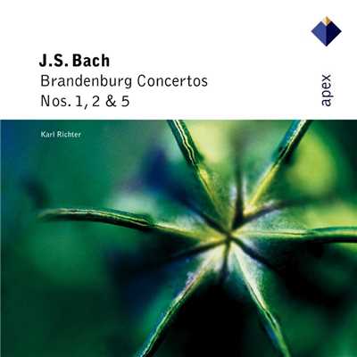 Brandenburg Concerto No. 5 in D Major, BWV 1050: I. Allegro/Karl Richter