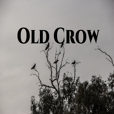 アルバム/Old Crow/Set point level