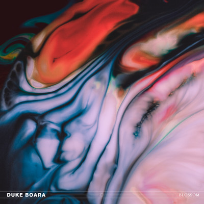 アルバム/Blossom/Duke Boara