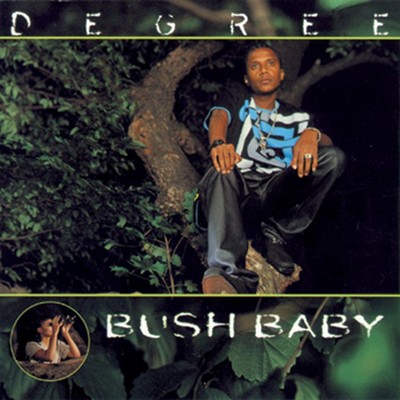 アルバム/Bush Baby/Degree