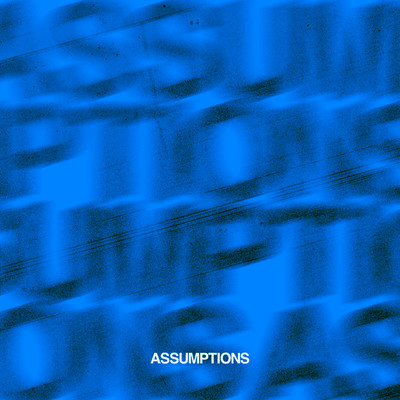 Assumptions (slowed down version)/slowed down audioss