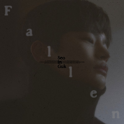 シングル/Fallen (Instrumental)/SEO IN GUK