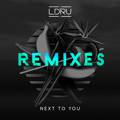 Next to You (feat. Savoi) [Barely Alive & Virtual Riot Remix]/L D R U