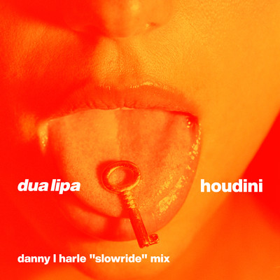 Houdini (Danny L Harle Slowride Mix)/Dua Lipa