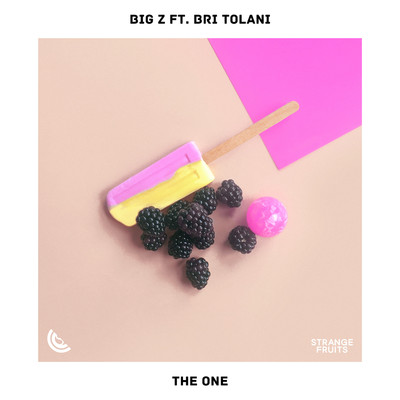 シングル/The One (feat. Bri Tolani)/Big Z