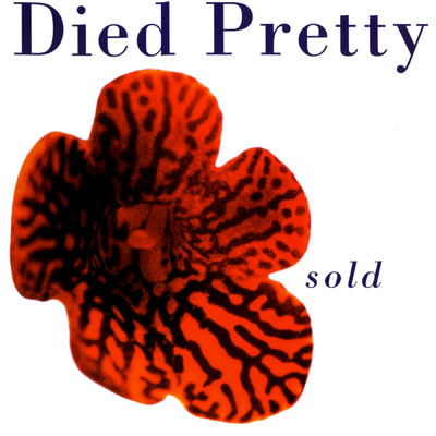 アルバム/Sold/Died Pretty