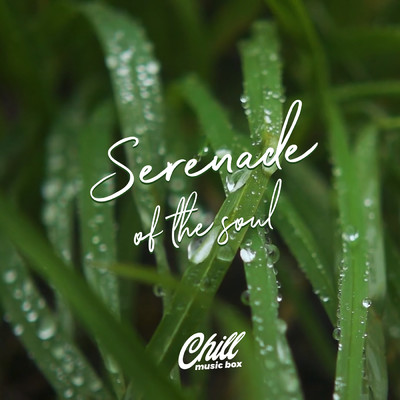 アルバム/Serenade Of The Soul/Chill Music Box