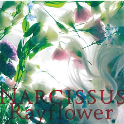 アルバム/Narcissus/Rayflower