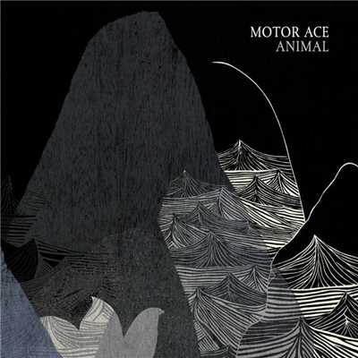 アルバム/Animal/Motor Ace