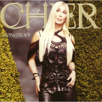 Different Kind of Love Song/Cher