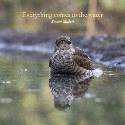 シングル/Everything comes to the water/Rowan Guthrie