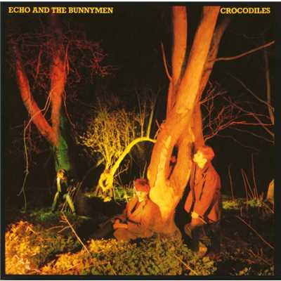 アルバム/Crocodiles/Echo & The Bunnymen