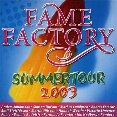 Fame Factory Summertour/Various Artists
