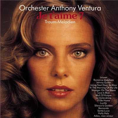 アルバム/Je T'Aime - Traummelodien 7/Orchester Anthony Ventura