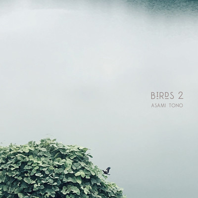 Birds 2/Asami Tono
