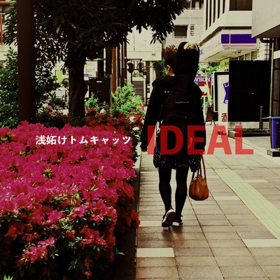 Ideal/浅妬けトムキャッツ