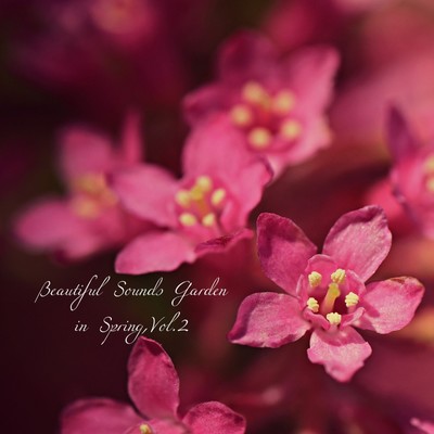 アルバム/Beautiful Sounds Garden in Spring, Vol.2/おうちおんがく