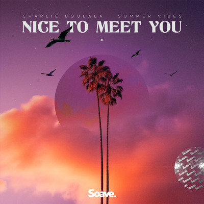 Nice To Meet You/Charlie Boulala & Summer Vibes