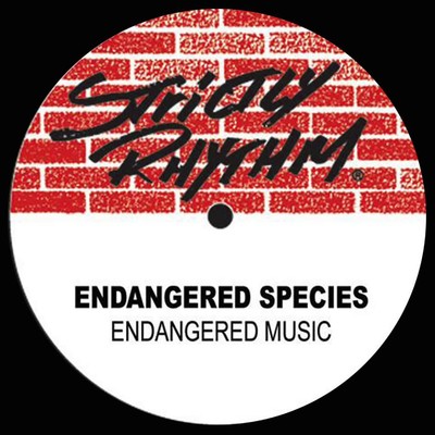 Mother of the Future (Jazzy Disco Mix)/Endangered Species