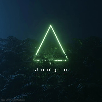 アルバム/The Jungle/LoFi Sundin