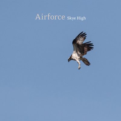 Airforce/Skye High