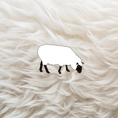 シングル/One Sheep/Okawarich