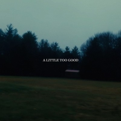 アルバム/A Little Too Good (Explicit)/Vincent Mason
