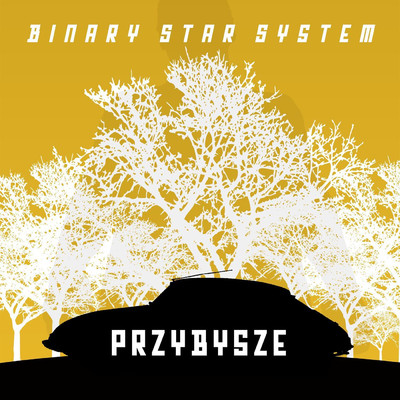 Binary Star System