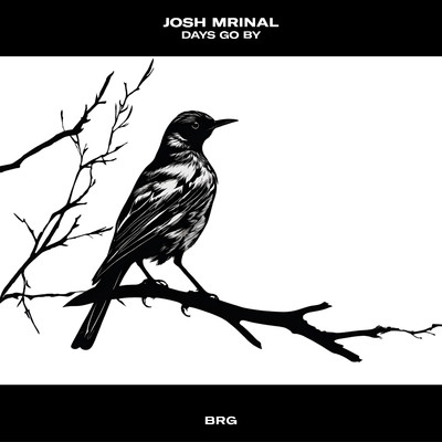 And She Waits/Josh Mrinal