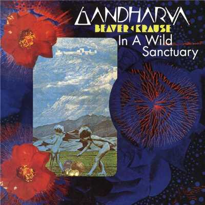 In A Wild Sanctuary／Gardharva/Beaver &  Krause