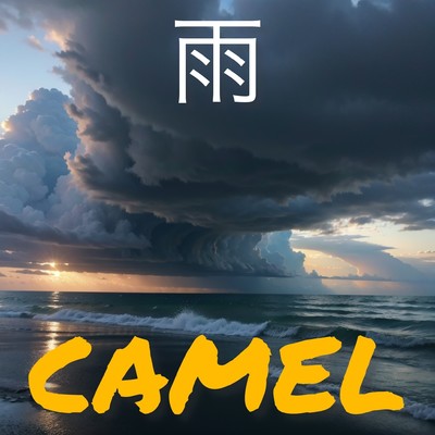 シングル/雨/CAMEL