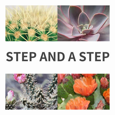 アルバム/Step and a step/JAZANIXA