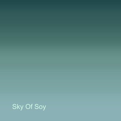 シングル/Sky Of Soy/slowstoop