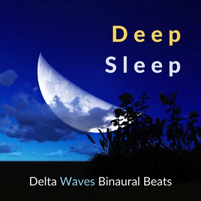 アルバム/超熟睡 -ぐっすり眠るためのデルタ波バイノーラルビート-/Sleep Music α