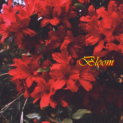 シングル/Bloom/NEPHILIM
