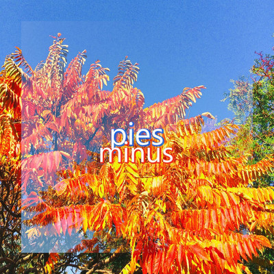アルバム/Minus/pies